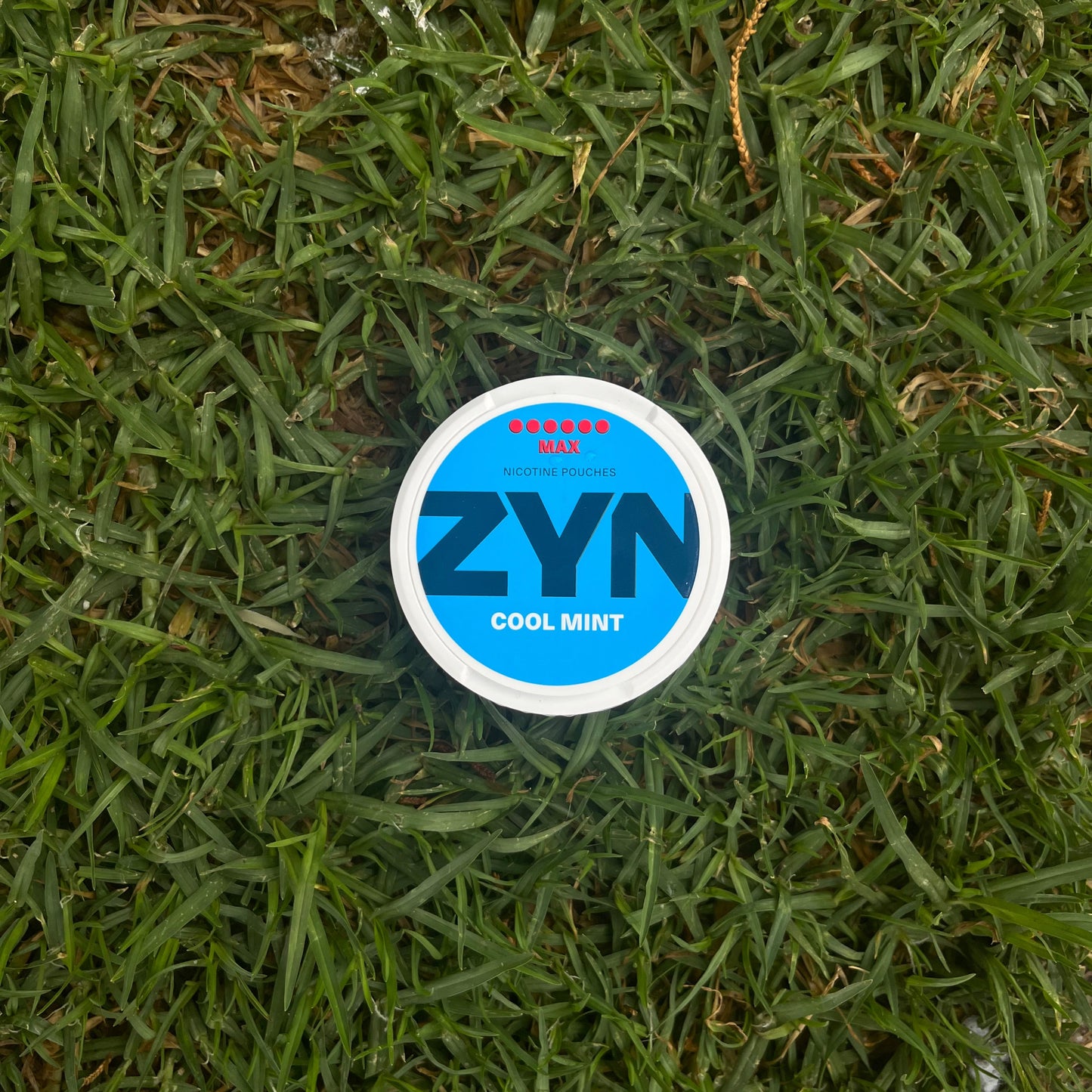 zyn