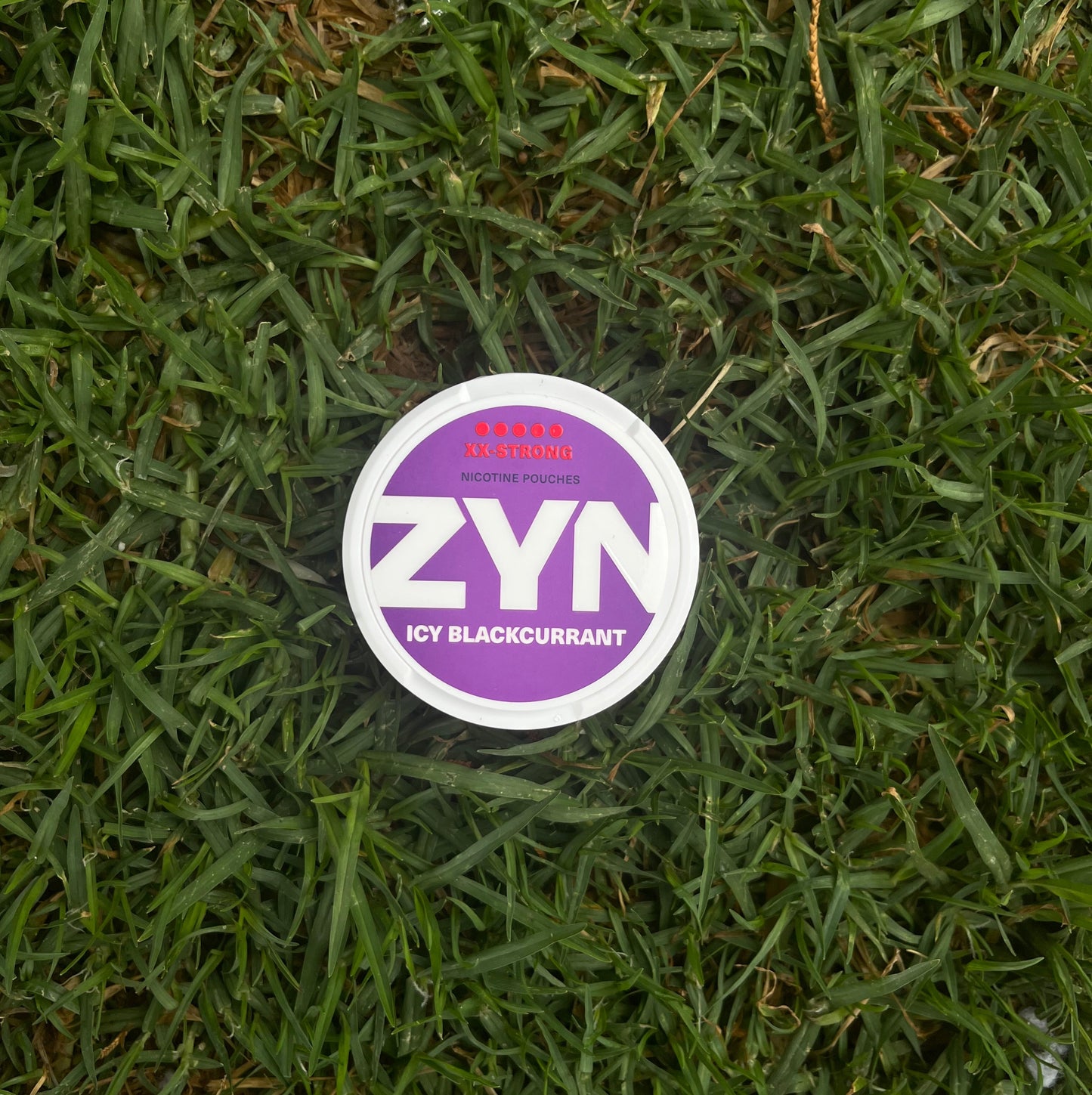 zyn